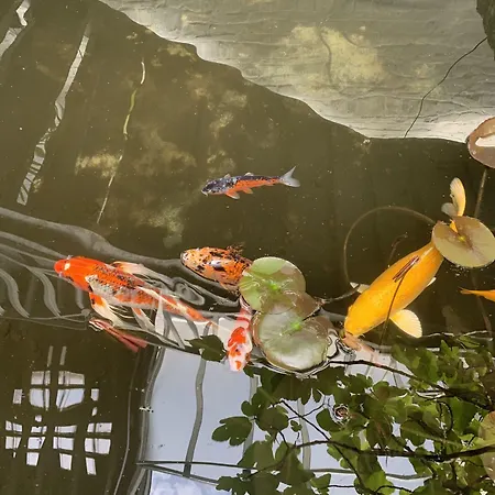 Le Comptoir Industriel Hotel