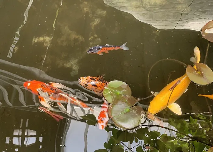 Le Comptoir Industriel Hotel